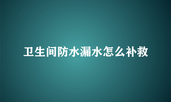 卫生间防水漏水怎么补救