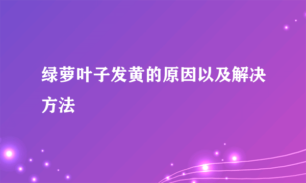 绿萝叶子发黄的原因以及解决方法