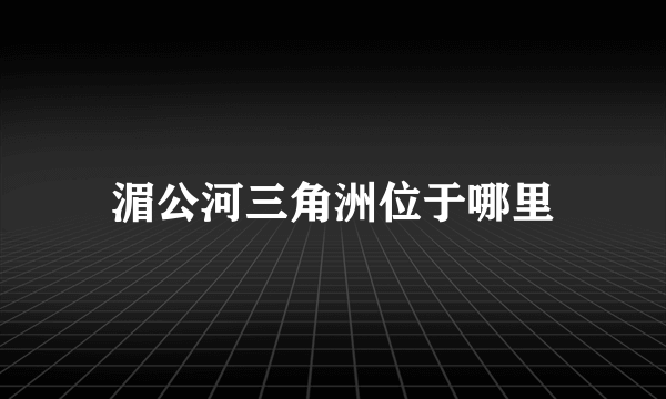 湄公河三角洲位于哪里