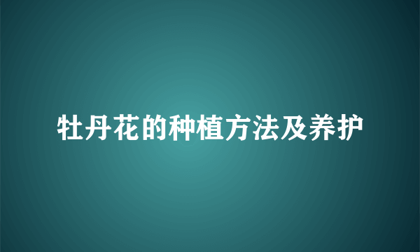 牡丹花的种植方法及养护