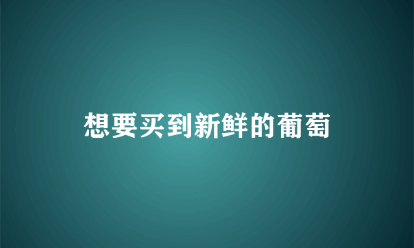 想要买到新鲜的葡萄