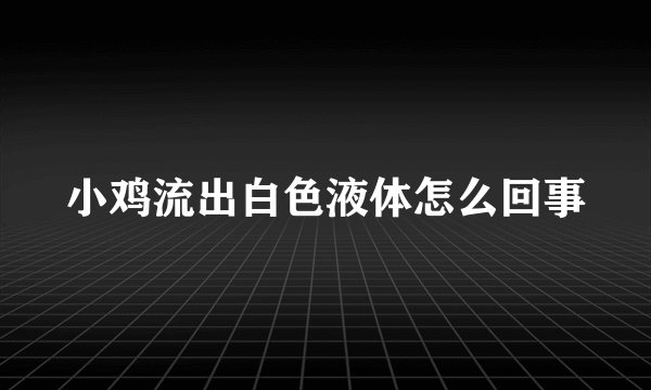 小鸡流出白色液体怎么回事