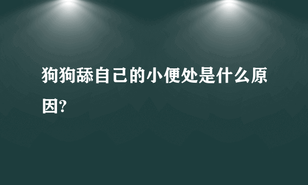 狗狗舔自己的小便处是什么原因?