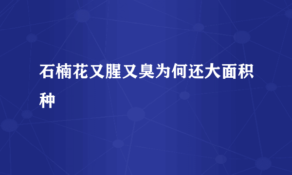 石楠花又腥又臭为何还大面积种