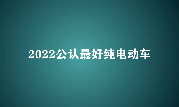 2022公认最好纯电动车