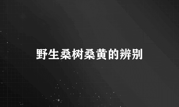 野生桑树桑黄的辨别