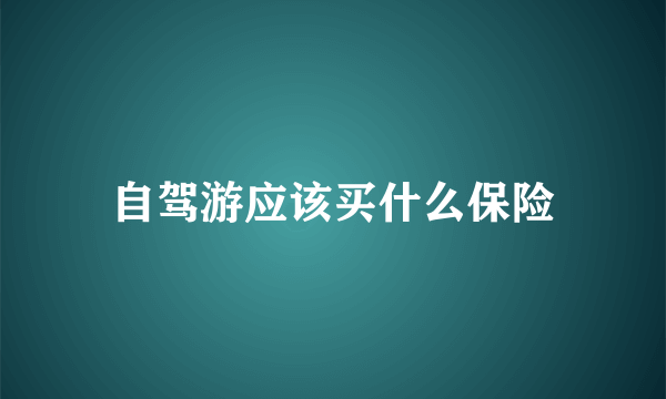 自驾游应该买什么保险