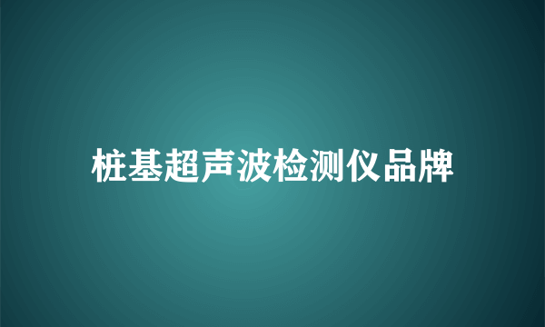 桩基超声波检测仪品牌