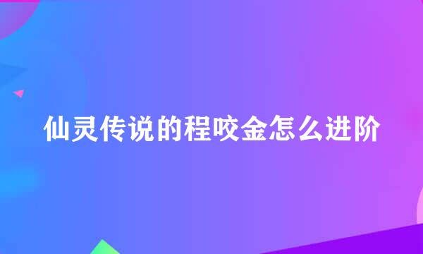 仙灵传说的程咬金怎么进阶