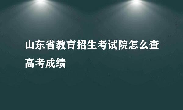 山东省教育招生考试院怎么查高考成绩