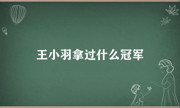 王小羽拿过什么冠军