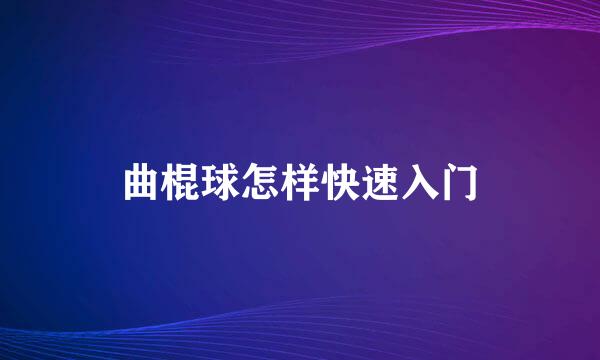 曲棍球怎样快速入门