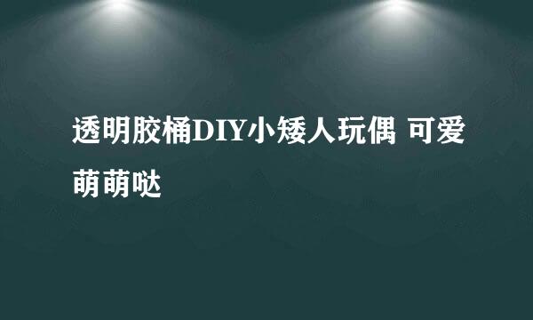 透明胶桶DIY小矮人玩偶 可爱萌萌哒