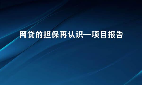 网贷的担保再认识—项目报告