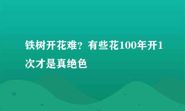 铁树开花难？有些花100年开1次才是真绝色