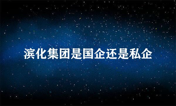 滨化集团是国企还是私企