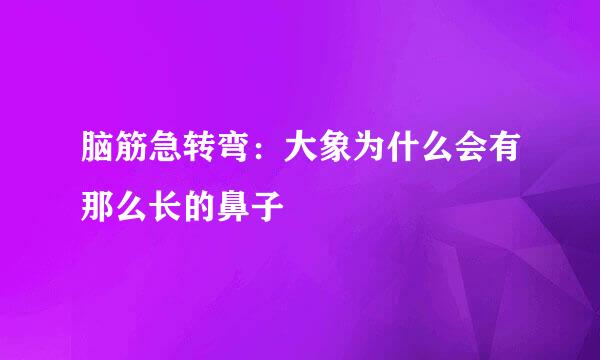 脑筋急转弯：大象为什么会有那么长的鼻子