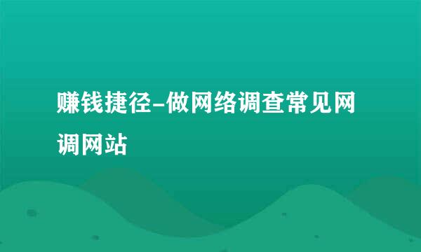 赚钱捷径-做网络调查常见网调网站