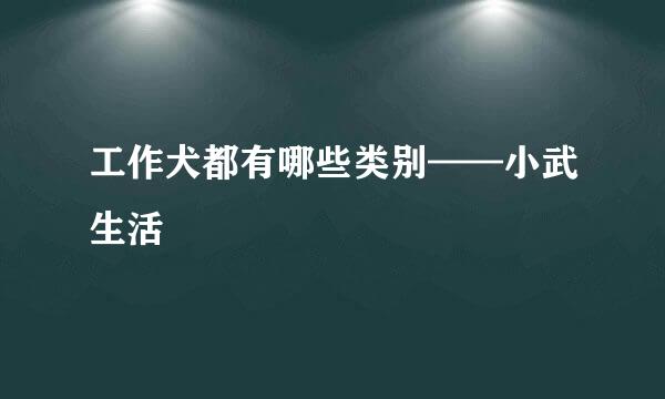 工作犬都有哪些类别——小武生活