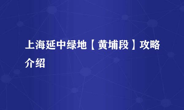 上海延中绿地【黄埔段】攻略介绍