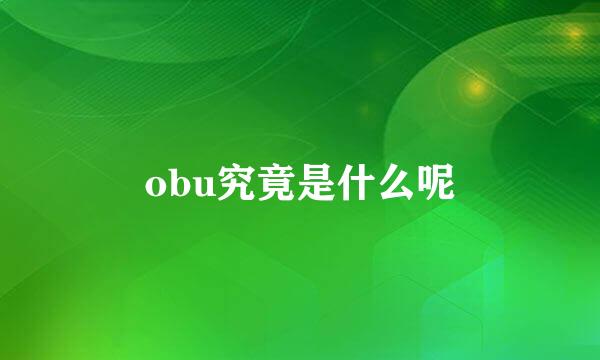 obu究竟是什么呢