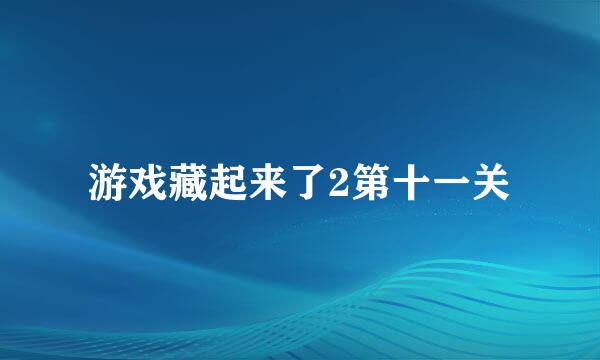 游戏藏起来了2第十一关