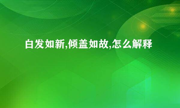 白发如新,倾盖如故,怎么解释