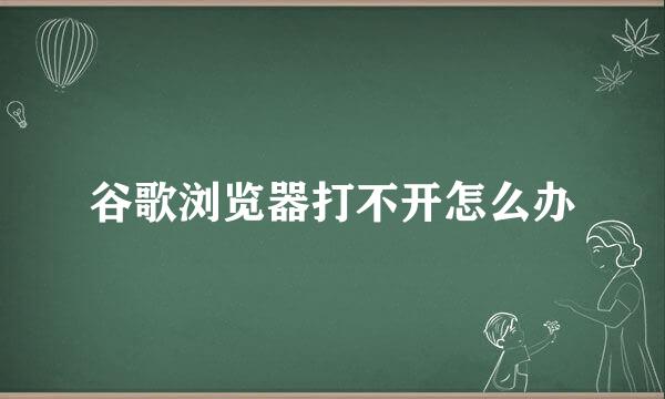 谷歌浏览器打不开怎么办