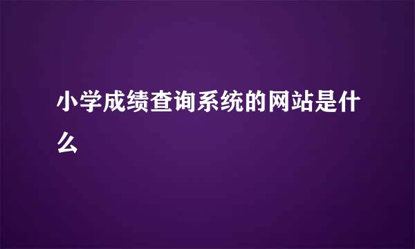 小学成绩查询系统的网站是什么