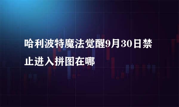 哈利波特魔法觉醒9月30日禁止进入拼图在哪