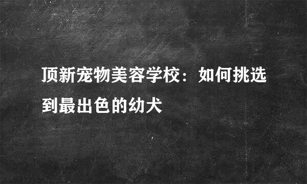 顶新宠物美容学校：如何挑选到最出色的幼犬