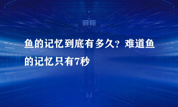 鱼的记忆到底有多久？难道鱼的记忆只有7秒