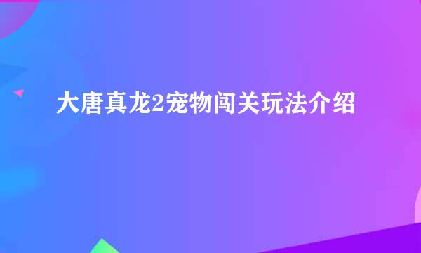 大唐真龙2宠物闯关玩法介绍