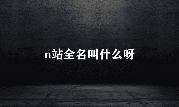 n站全名叫什么呀