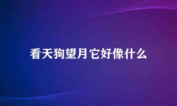 看天狗望月它好像什么