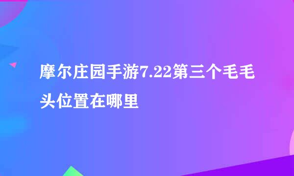 摩尔庄园手游7.22第三个毛毛头位置在哪里