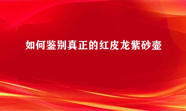 如何鉴别真正的红皮龙紫砂壶