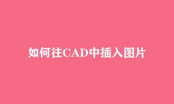 如何往CAD中插入图片