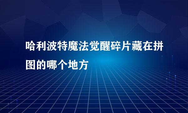 哈利波特魔法觉醒碎片藏在拼图的哪个地方