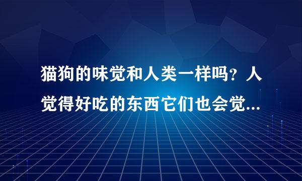 猫狗的味觉和人类一样吗？人觉得好吃的东西它们也会觉得好吃吗