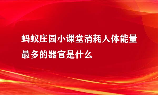 蚂蚁庄园小课堂消耗人体能量最多的器官是什么