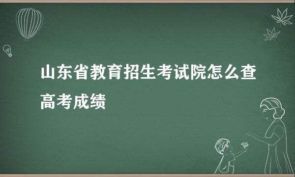 山东省教育招生考试院怎么查高考成绩