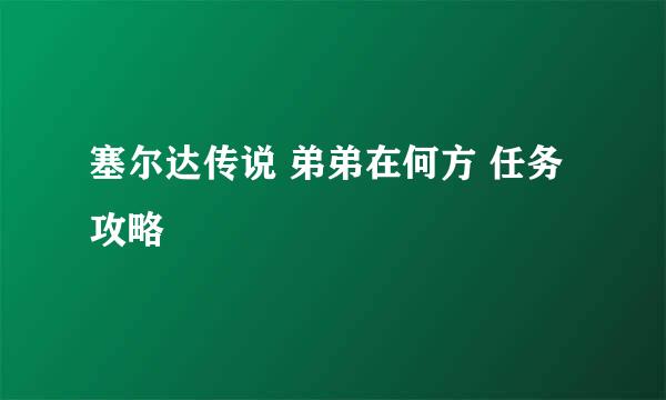 塞尔达传说 弟弟在何方 任务攻略