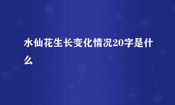 水仙花生长变化情况20字是什么