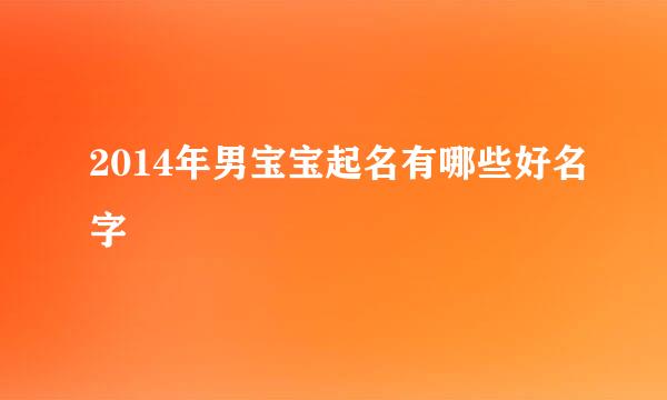 2014年男宝宝起名有哪些好名字