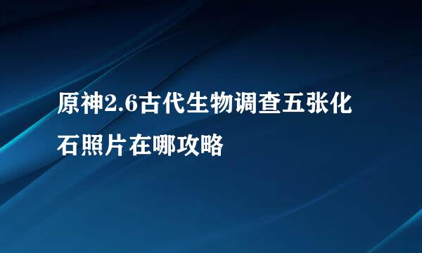 原神2.6古代生物调查五张化石照片在哪攻略