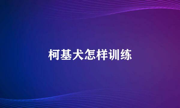 柯基犬怎样训练