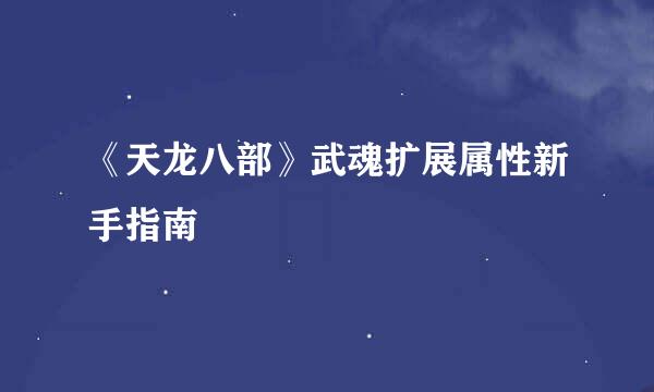 《天龙八部》武魂扩展属性新手指南