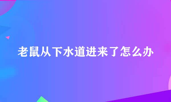 老鼠从下水道进来了怎么办