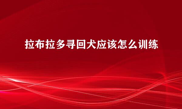 拉布拉多寻回犬应该怎么训练